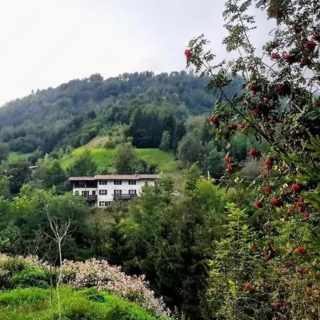 דירה Pino In Vt Vista, Natura, Wifi San Colombano
