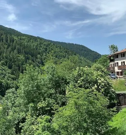 Pino In Vt Vista, Natura, Wifi San Colombano